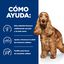 370 g Hill's Prescription Diet Food Sensitives z/d Frango lata para cães, , large Indicador imagem número 4